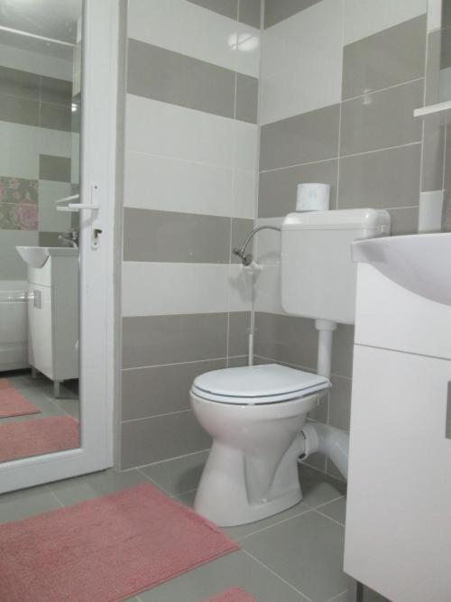 Apartament Sarra Тирговіште Екстер'єр фото